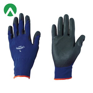 Ag ׂ~ Ǝ P~\tg Xgb` M (1o) iԁF1590-M