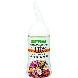 nC|lbNX ؉Ԋ L[g؉Ԓt (1{) iԁFH016418