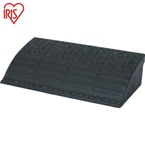 ACXI[} IRIS 529431 Siv[g (1) iԁFGDP-1560