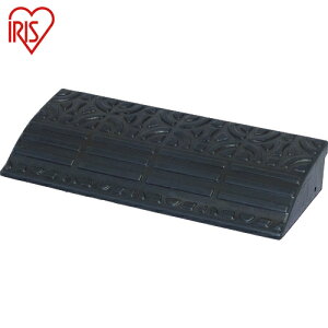 ACXI[} IRIS 529433 Siv[g (1) iԁFGDP-4560