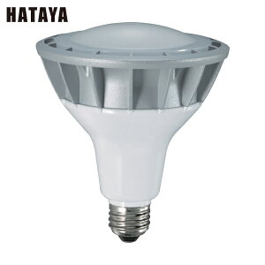 n^ LED [NCg 20WFLp^Cv (1) iԁFLDR20N-H110