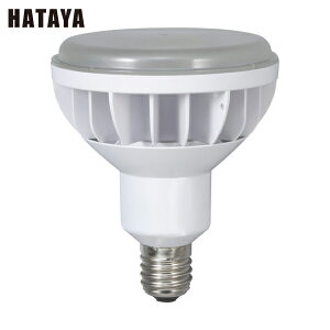 n^ LED [NCg 40WLEDƓ  (1) iԁFLDR40N-H110