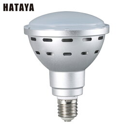 ハタヤ 45WLED電球 (1台) 品番：LDR45N-H110