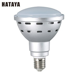 n^ LED [NCg 45WLEDd (1) iԁFLDR45N-H110