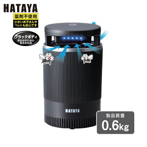 n^ ߒ EUI (1) iԁFKTS-1