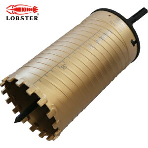 uebNX Gr _ChRAh 100mm VN13mm (1{) iԁFKD100