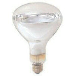 dC ԊOd110V250W (1{) iԁFIR100/110V250WRH