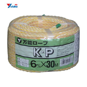 ^JCN [v KP[v\pbN 6×30m (1) iԁFKPN630