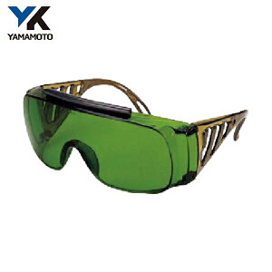 R{w YAMAMOTO `Ռ߂ (1) iԁFNO.337W JIS NSLP 2