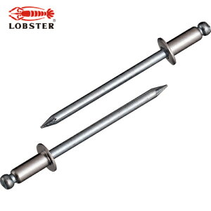 uebNX Gr uChxbgiXeX/XeB[j 4-4i40{j GRpbN (1Pk) iԁFNSS44MP