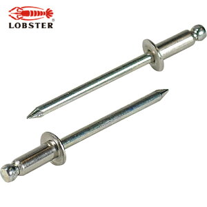 uebNX Gr uChxbgiXeX/XeB[j 6-4i15{j GRpbN (1Pk) iԁFNSS64MP