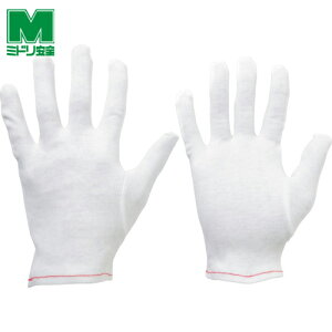 ~hS Ǝ Ci[ ȃXXi}`Ȃj12o LTCY (1) iԁFMSM-01-L