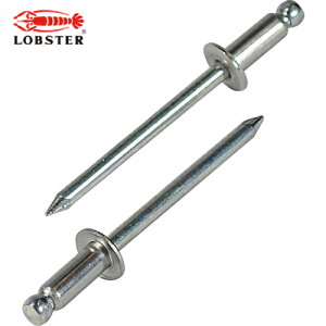 uebNX Gr uChxbgiXeX/XeB[j 5-5i300{j GRBOX (1) iԁFNSS 55EB