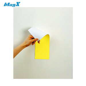 }OGbNX }OlbgʃJ[V[g (1) iԁFMSR-10YW