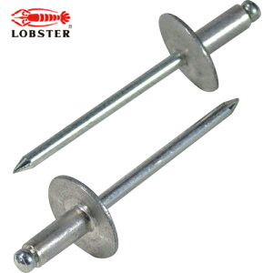 uebNX Gr uChxbgE[WtW A~/XeB[6-2 i500{j (1) iԁFNSA62LF