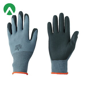 Ag Ǝ ׂ~ߎ P~\tgO M (1o) iԁF1650-M