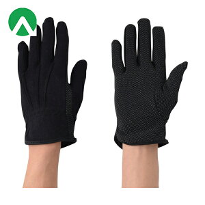 Ag XX Ag^[{  5og M (1g) iԁF148-5P-M