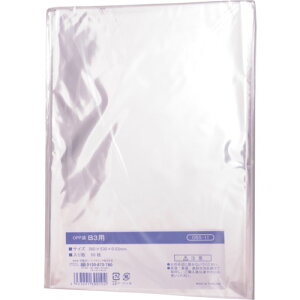 IRL OPP܃V[Ȃ B3p (1) iԁFOBS-11