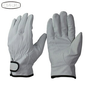 ӂ Ǝ Ǝ v ؊vȃ^Cv LL (1o) iԁFR-35-LL