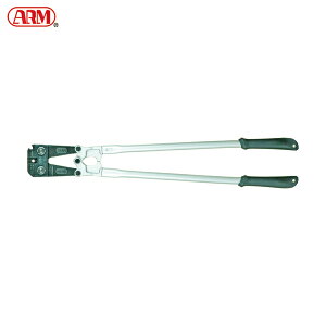 ARM A[Y A[XG[W[900iA[XeXX[upj (1) iԁFSS-HS6