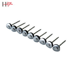 _Ch[ng gpB XeXAPBp[XN[ 12×75 fn 9{×25A (1) iԁF00028153