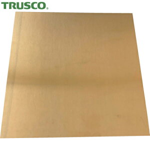 gXR TRUSCO dʕp~ Vv[g ^J 0.5×50×100mm (1) iԁFSISIN0.5-50-100