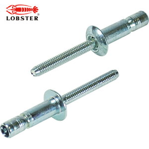 uebNX Gr xuChxbg S{giۓj 4.8/11.0mm i500{j (1) iԁFSNS48110