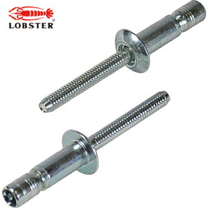 uebNX Gr xuChxbg S{giۓj 6.4/15.9mm i100{j (1) iԁFSNS64159EB