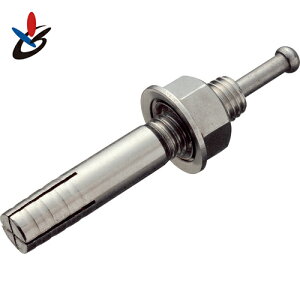 TR[ eNm I[AJ[SC^Cv XeX ~˂ (10{) iԁFSC-2023