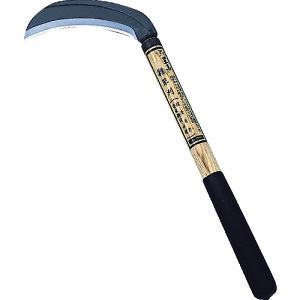 L{V  J}  芙 iイ܁j n GiipnE|tEj n170mm S440mm (1) iԁF1695