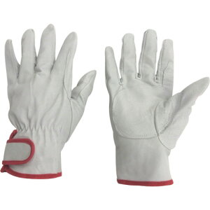 ~^j Ǝ v 195u^W[i3ojMTCY (1g) iԁF209613