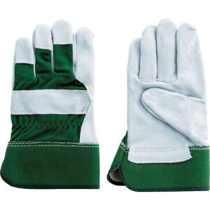 xmO[u Ǝ v 181 O[ (1o) iԁF1824