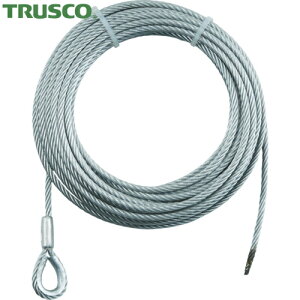gXR TRUSCO 蓮EC`pSUSC[6×40MpiVu胍bNj (1{) iԁFSUSWWS6-40