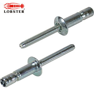 uebNX Gr xuChxbg S{giۓj 4.8/6.9mm i100{j (1) iԁFSNS48069EB