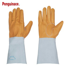 yMG[X nڗpv Rs5{w t[TCY (1o) iԁFTH-409