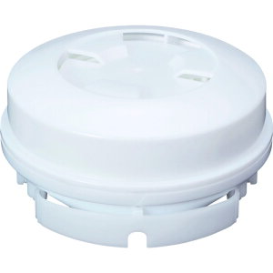 VQ}c d쏊 TWptB^iRL3j (1) iԁFT3PLUS