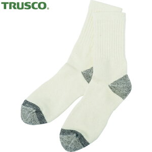 gXR TRUSCO ƒ C \bNX LfIZR 2g (1Pk) iԁFTDG-2P