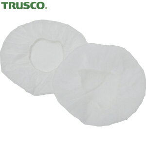 gXR TRUSCO C[}tJo[ 20 (1) iԁFTEM-C