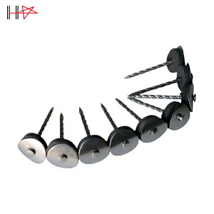 _Ch[ng gp XeXAPB 14×38 fn 9{×10A (1) iԁF10102296