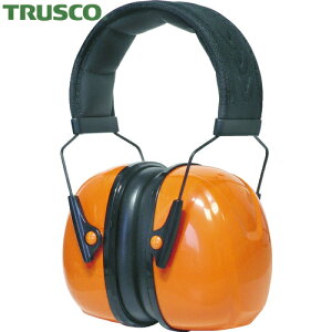 gXR TRUSCO C[}tiX`[wbh^Cvj (1) iԁFTEM508
