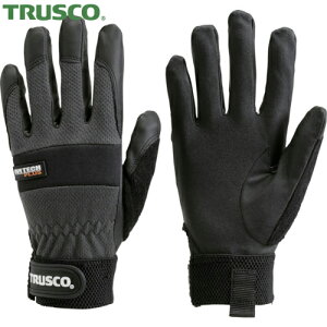 gXR TRUSCO GebNvXLLTCY (1o) iԁFTPMG-LL