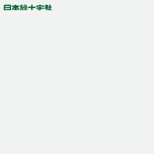 {Ώ\ TCv[g ݎnv[g KS-BDij 100×100mm 6g Gr (1g) iԁF228025