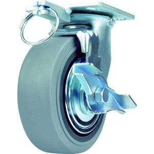 SAMSONG d׏dpLX^[  S125mm u[Lt (1) iԁFTP6650-MIR BB TG TLB