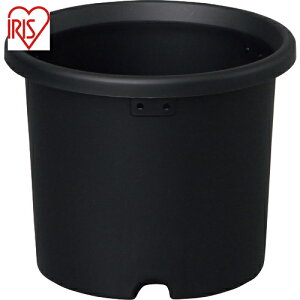 ACXI[} K[fjO v^[ 2.0L e O[ 5 (1) iԁF290673