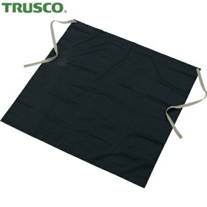 gXR TRUSCO ƗpGv RۃrjO| lCr[ (1) iԁFTVL-WK-B