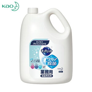 Kao ԉ wō ƖpLLbg NA 4.5L (1) iԁF360489