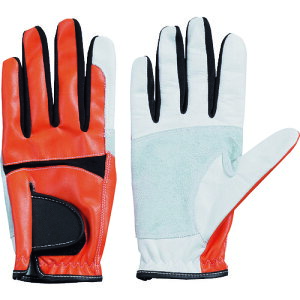 xmO[u Ǝ v QT-103 IW LL Jebg (1o) iԁF3655