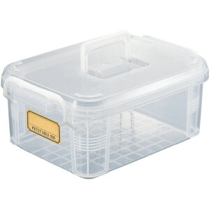 sZ [P[X t^t v`mC 100 nht C F2231H (1) iԁF231068