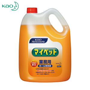 Kao ԉ Zp Zp Ɩp}Cybg 4.5L (1) iԁF505613