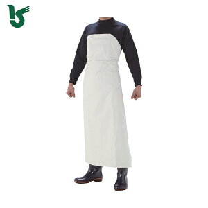 JWCN ƗpGv 1902 WXgtO|  L (1) iԁF1902-1-L